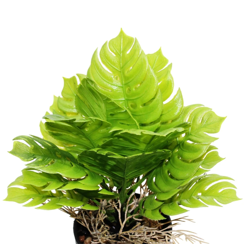 Chậu Cây Nhựa Trang Trí