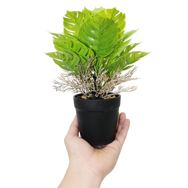 Chậu Cây Nhựa Trang Trí