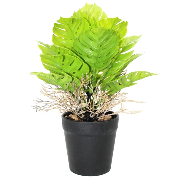Chậu Cây Nhựa Trang Trí