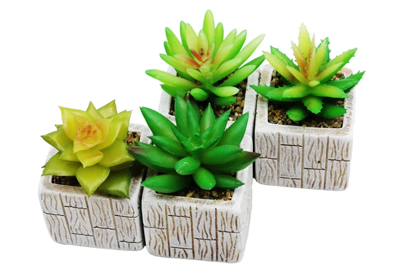 Chậu Cây Kiểng Nhựa Trang Trí